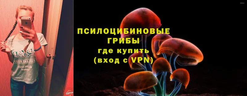 как найти закладки  Омутнинск  omg вход  Псилоцибиновые грибы Cubensis 